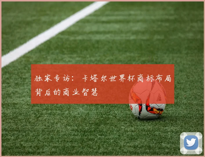 独家专访：卡塔尔世界杯商标布局背后的商业智慧