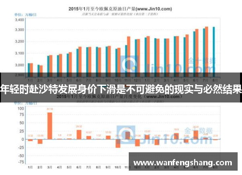 年轻时赴沙特发展身价下滑是不可避免的现实与必然结果